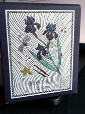 Zara Red Vanilla Happy