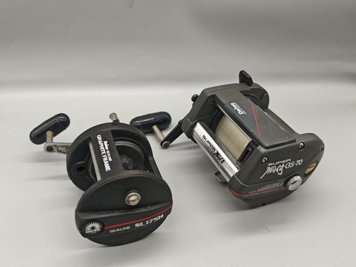 Daiwa fishing multipliers - fishing,