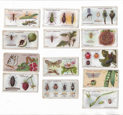 Wills part set garden life - -,
