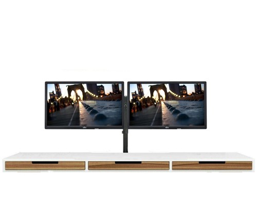 Dual monitor bundle fujitsu - monitor,