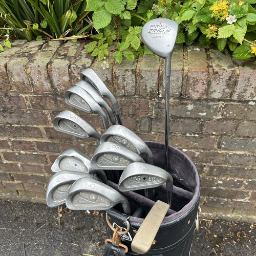 Ping eye mens - 2, full