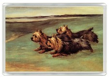 YORKSHIRE TERRIER DOG FRIDGE
