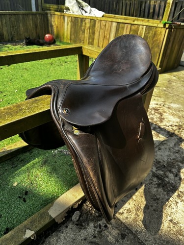 Saddle