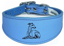 Sighthound Lurcher Whippet