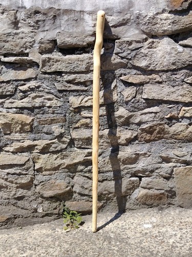 White oak walking stick wood - oak,