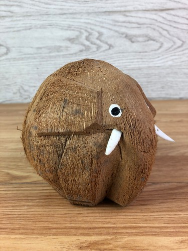 Carved coconut elephant - carved,