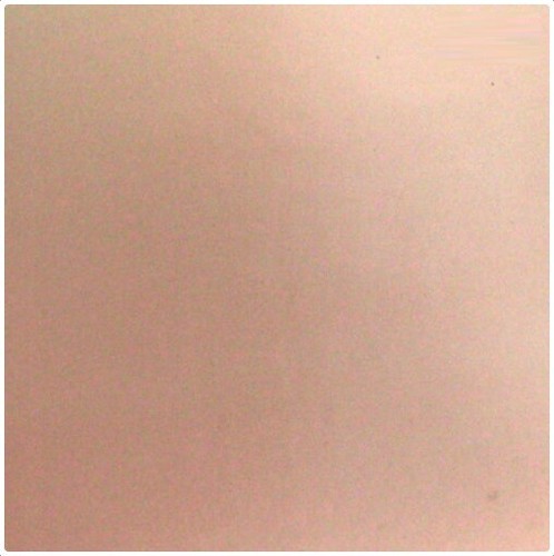 Tile stickers transfers - tile, decal