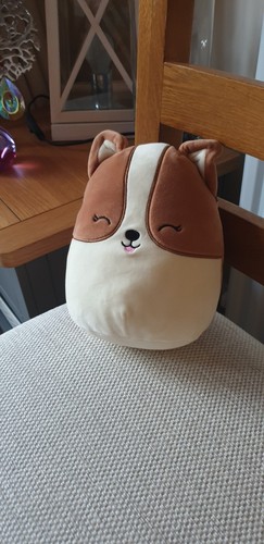 Squishmallows regina corgi dog - squishmallows,