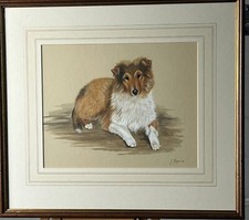 Shetland Collie, Original Signed Painting by Janice (Jan) Ferguson