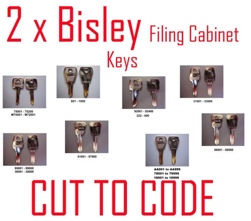 Bisley replacement filing - 2,