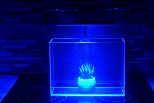 Reef nano tank - tank, led