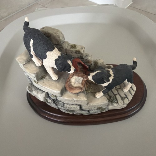 Border fine arts collie - fine,