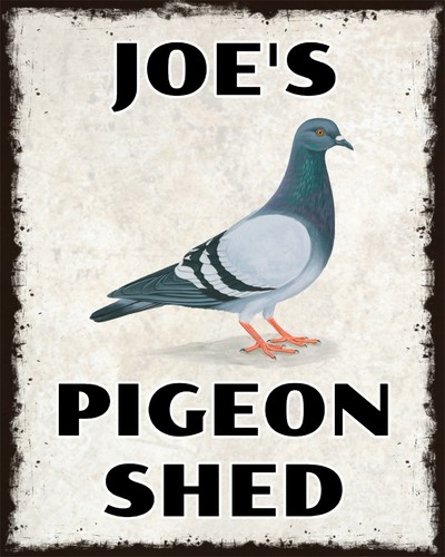 Personalised pigeon shed - personalised,