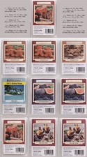 Wickford & Co. Wax Melts