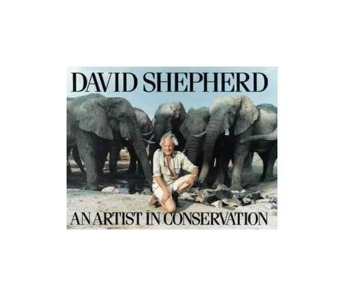 Artist conservation - artist, in