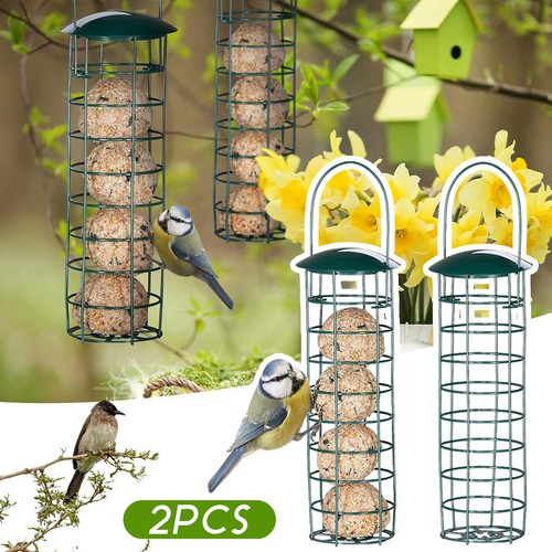 Hanging bird feeder suet fat - hanging,