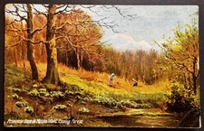 1906 Primroses Monks Wood