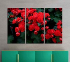 Red Rose Bright Juicy Flowers