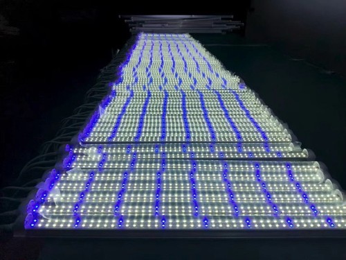 Grow lights inch - lights, 24