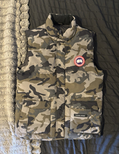 Canada goose arctic - canada,