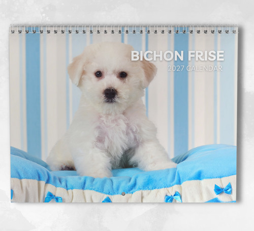 Bichon frise calendar 2027 - bichon,