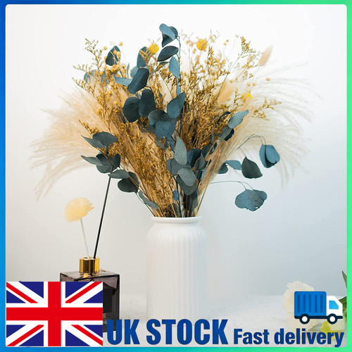 26pcs dried pampas grass reed - pampas,