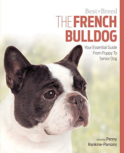 French bulldog best breed - of,