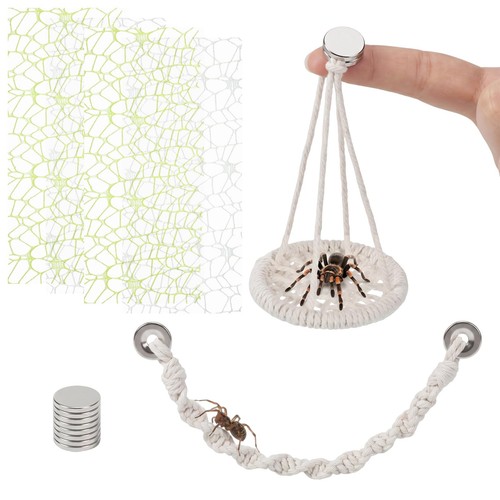 6pcs jumping spider rope - 6pcs,