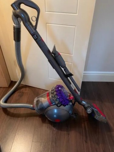 Dyson big ball animal - big,