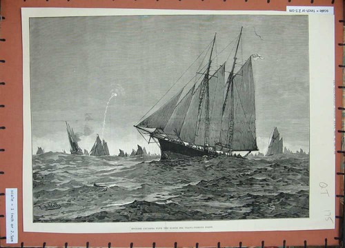 Old antique print - antique, 1881