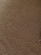 Rupert Bear Annual Collectors