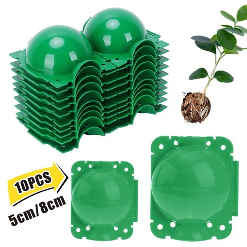 10pcs grafting box plant - 10pcs,