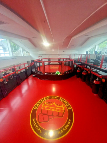 Mma cage octagon - mma,