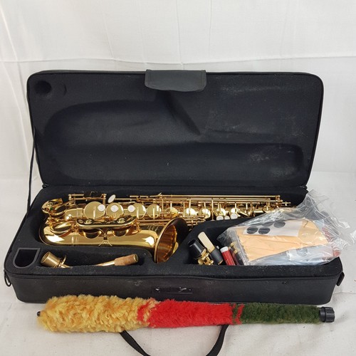 Eastar eas alto saxophone - eastar, ii