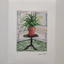 David Hockney Signed - Potted