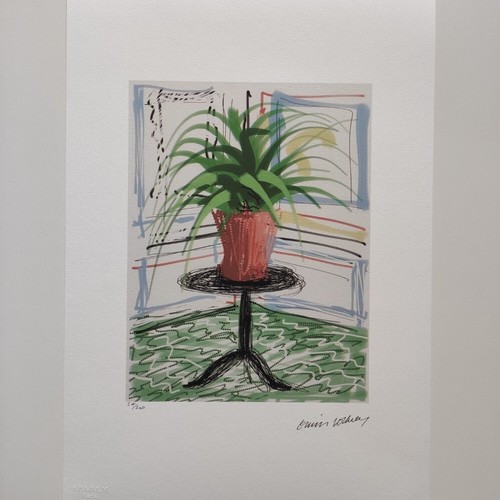 David hockney signed potted - signed,