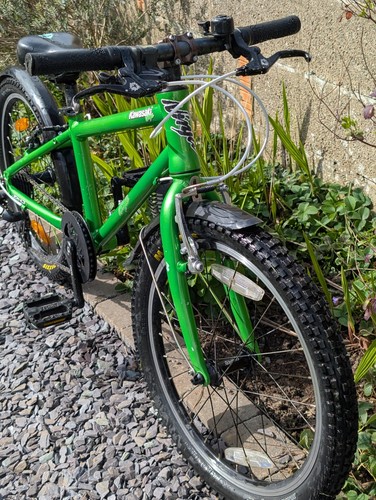 Frog hybrid kids bike - frog,