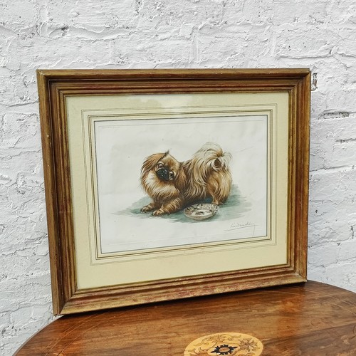 Vintage pekinese dog art - xl,