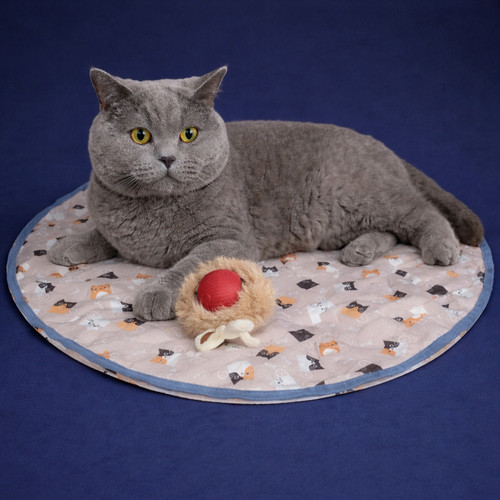 Interactive cat play - interactive,