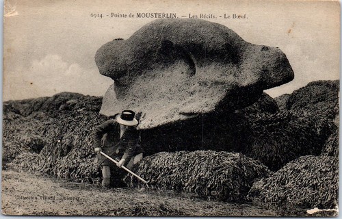 Fouesnant beg meil - 29,