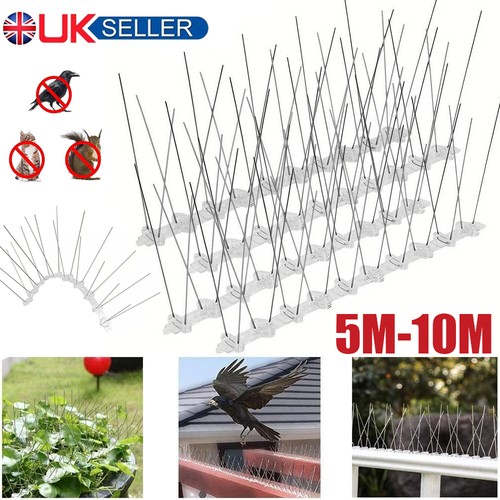 Steel bird spikes - bird, fences