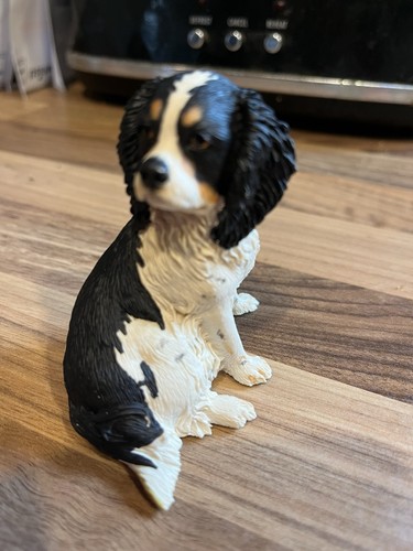King charles cavalier - king,
