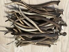 1kg Of Deer Antler Pieces, Single Point Horns
