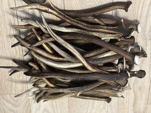 1kg deer antler pieces - 1kg,