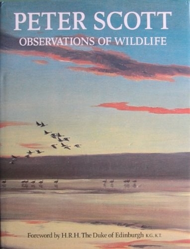 Observations wildlife - observations,