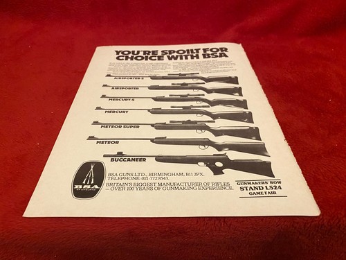 Pgun6 advert 11x8 bsa - pgun6,
