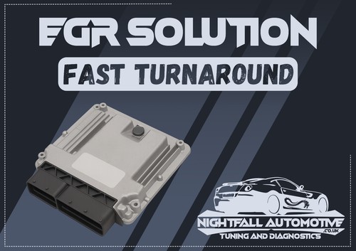 Egr postal ecu remapping - egr,