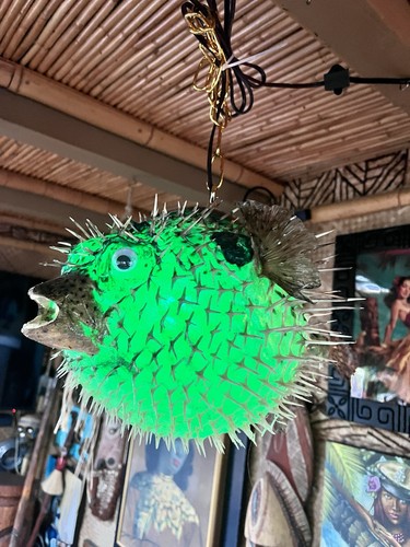 New pufferfish lamp - new,