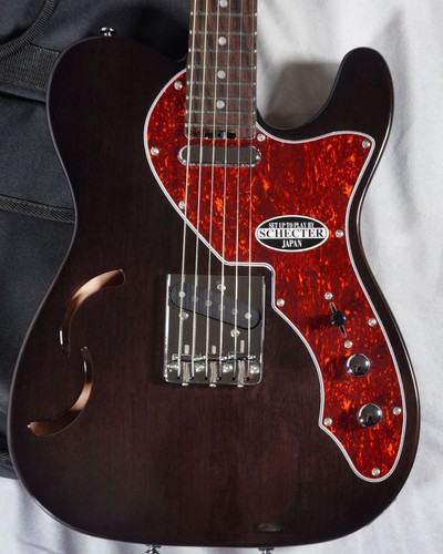 Schecter see thru - see,