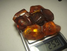 AMBER / raw baltic stones